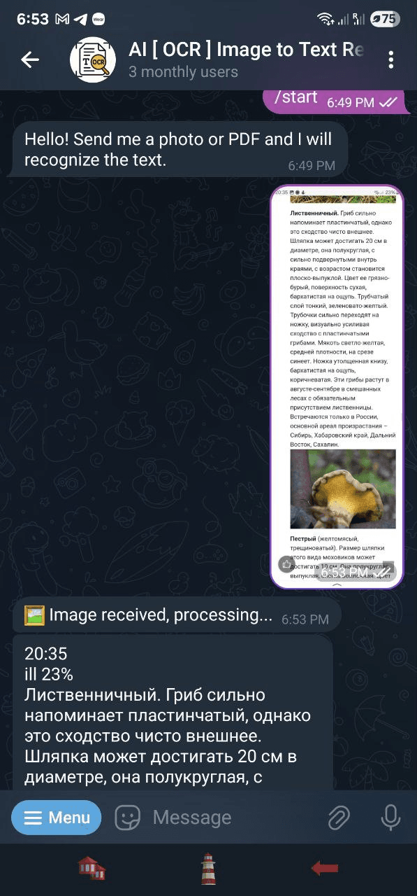 file_24934.png