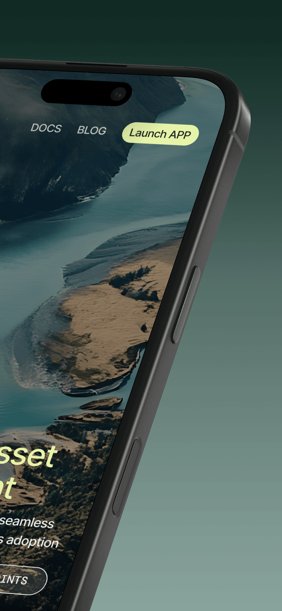miniapp - 2.png