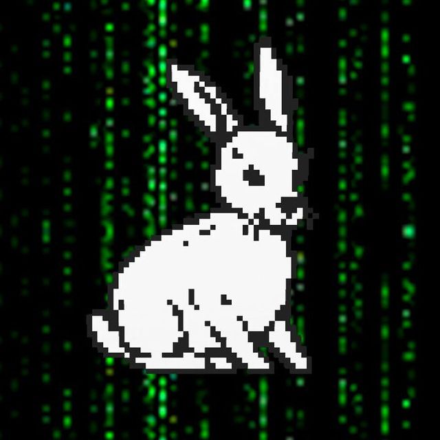 DIstrict Clash // PunkCity