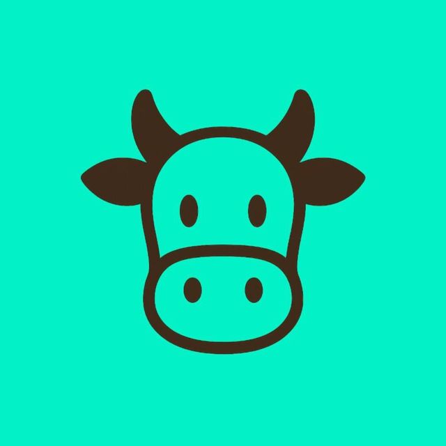 Mucca