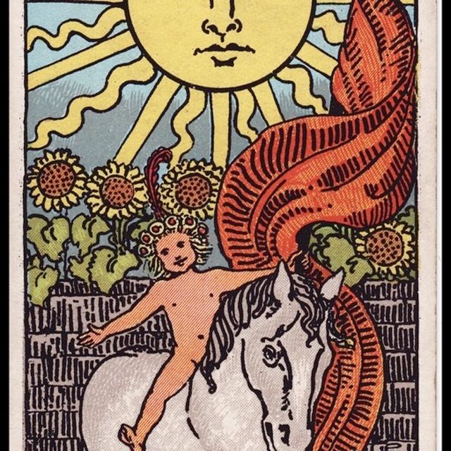 Your Daily Tarot